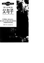 父与子 IBM发家史