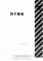 自然科学年鉴  1990