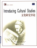 Introducing Cultural Studies