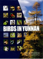 BIRDS IN YUNNAN