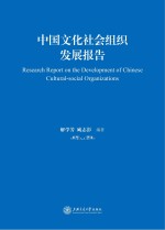 中国文化社会组织发展报告