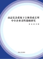 动态复杂系统下吉林省成长型中小企业柔性战略研究