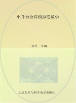 小升初全真模拟卷数学 最新版