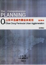 山东半岛城市群总体规划 说明书