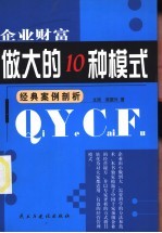 企业财富 做大的10种模式