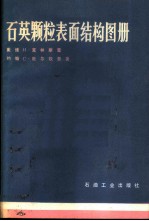 石英颗粒表面结构图册