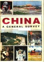 CHINA A GENERAL SURVEY