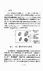 本体悬浮法合成ABS树脂