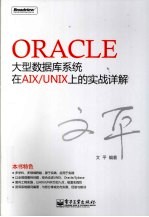 Oracle大型数据库系统在AIX/UNIX上的实战详解