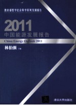 2011中国能源发展报告