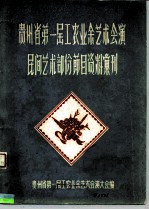 贵州省第一届工农业余艺术会演民间艺术部份节日资料汇刊