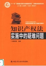 知识产权法实施中的疑难问题