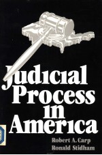 JUDICIAL PROCESS IN AMERICA