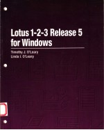 LOTUS 1-2-3 RELEASE 5 FOR WINDOWS