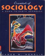 ESSENTIALS OF SOCIOLOGY A DOWN-TO-EARTH APPROACH