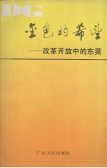 金色的希望 改革开放中的东莞