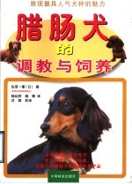 腊肠犬的调教与饲养 展现最具人气犬种的迷人风采