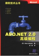 ADO.NET 2.0高级编程