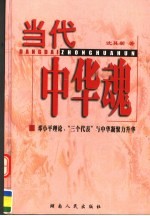 当代中华魂 邓小平理论、“三个代表”与中华凝聚力升华