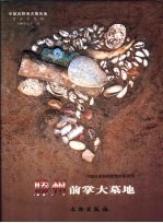 中国田野考古报告集 考古学专刊 丁种 第71号 滕州前掌大墓地 上