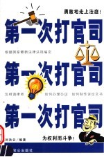 第一次打官司 解决第一次打官司遇到的各种实际问题