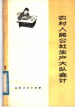 农村人民公社生产大队会计