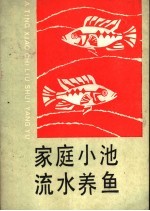 家庭小池流水养鱼