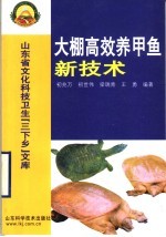 大棚高效养甲鱼新技术