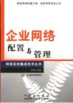 企业网络配置与管理