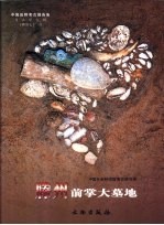 中国田野考古报告集 考古学专刊 丁种 第71号 滕州前掌大墓地 下