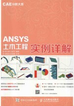 CAE分析大系  ANSYS土木工程实例详解