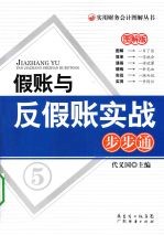 假账与反假账实战步步通：图解版