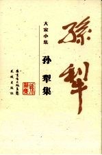 孙犁集