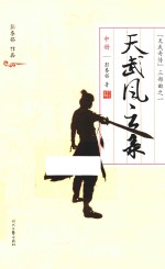 “天武奇传”三部曲 天武风云录 中