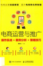 电商运营与推广 操作实战+案例分析+策略技巧