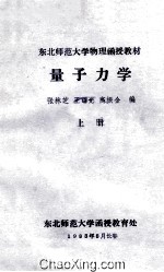 量子力学 上