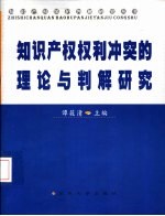 知识产权权利冲突的理论与判解研究