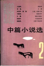 1988年中篇小说选 第2辑