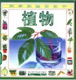 科学实验动动手 植物