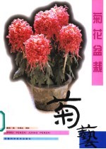 菊花盆栽