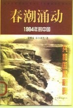 春潮涌动 1984年的中国