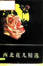 西北花儿精选