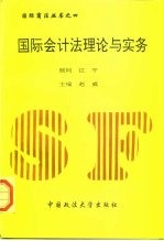 国际会计法理论与实务