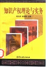 知识产权理论与实务