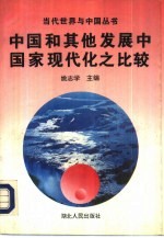 中国和其他发展中国家现代化之比较