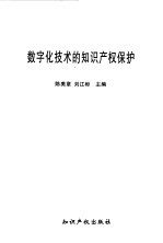 数字化技术的知识产权保护