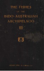 THE FISHES OF THE INDO-AUSTRALIAN ARCHIPELAGO 3