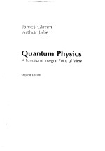 QUANTUM PHYSICS：A FUNCTIONAL INTEGRAL POINT OF VIEW SECOND EDITION