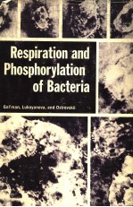 RESPIRATION AND PHOSPHORYLATION OF BACTERIA