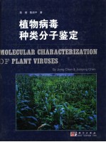 植物病毒种类分子鉴定